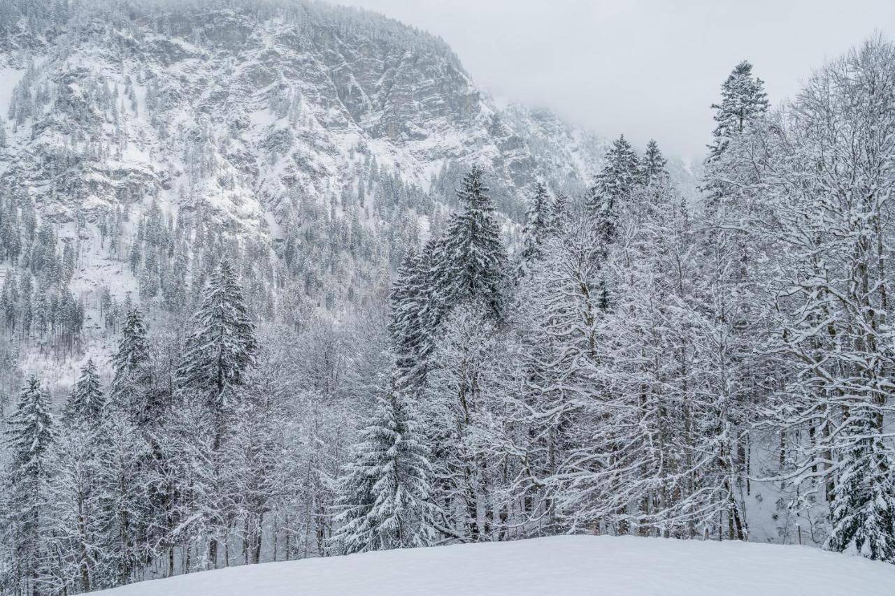 Waldgut Apartment Oberstdorf Ngoại thất bức ảnh